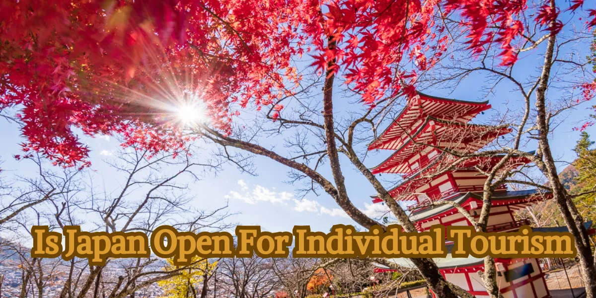 Is Japan Open For Individual Tourism