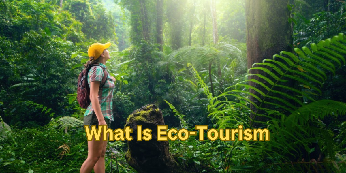 What Is Eco-Tourism